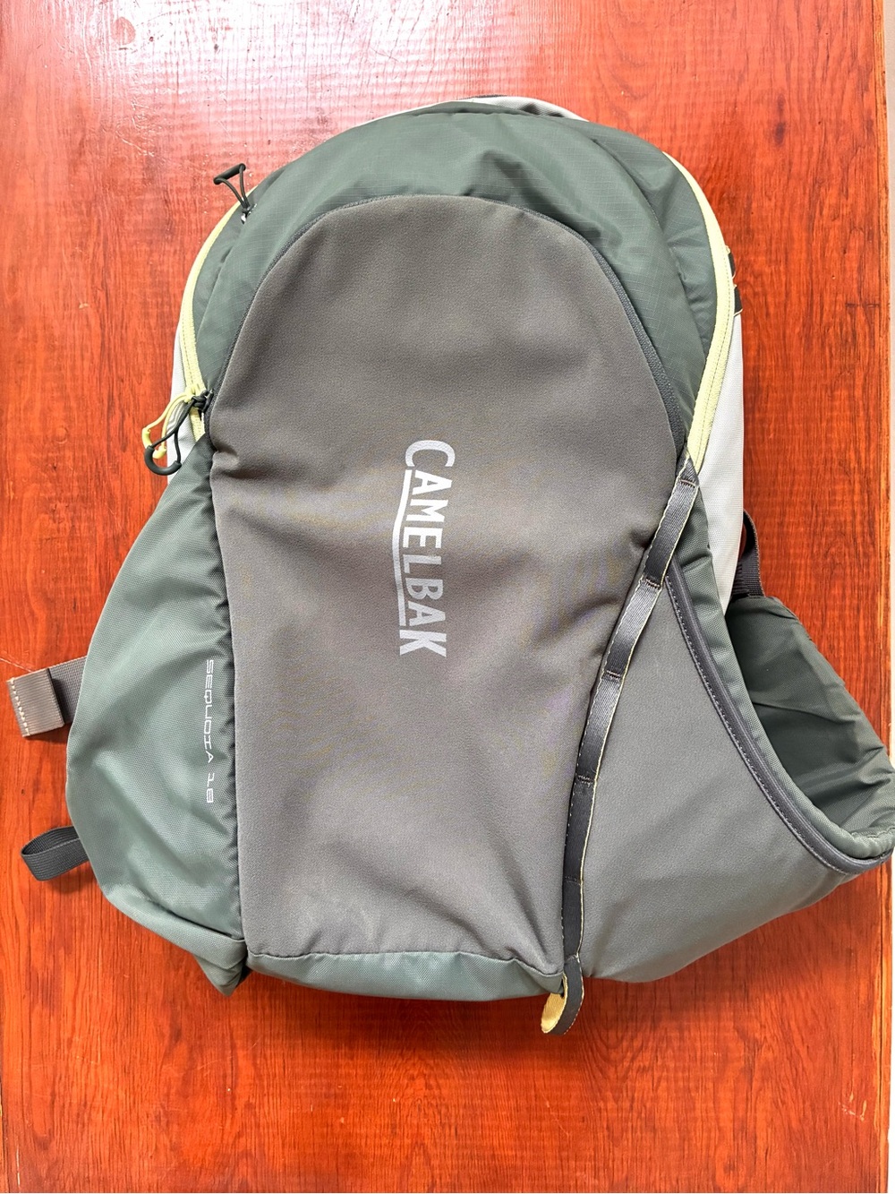 CamelBak Sequoia 18 Backpack